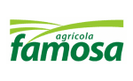 LOGOS SITE GOEVO (7)